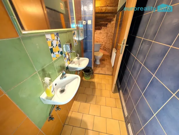 Prodej ubytování, Plzeň, Lindauerova, 800 m2