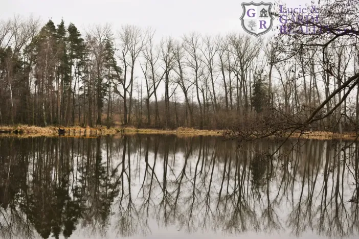 Prodej rybníku, Křivsoudov, 26509 m2