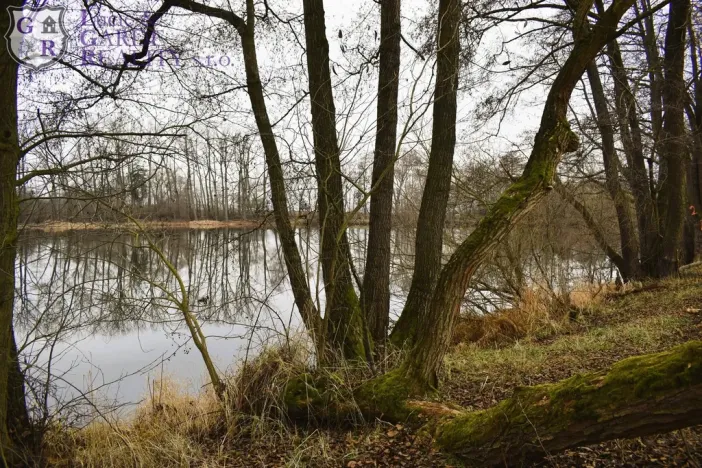 Prodej rybníku, Křivsoudov, 26509 m2