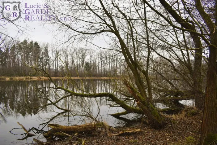 Prodej rybníku, Křivsoudov, 26509 m2
