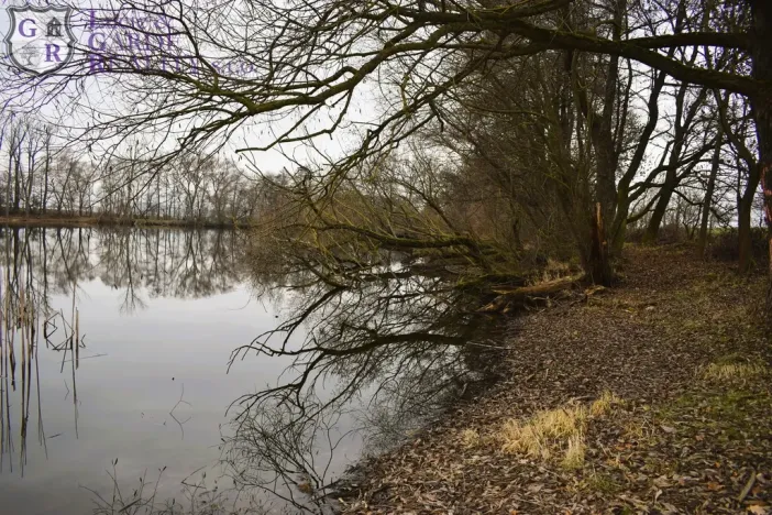 Prodej rybníku, Křivsoudov, 26509 m2