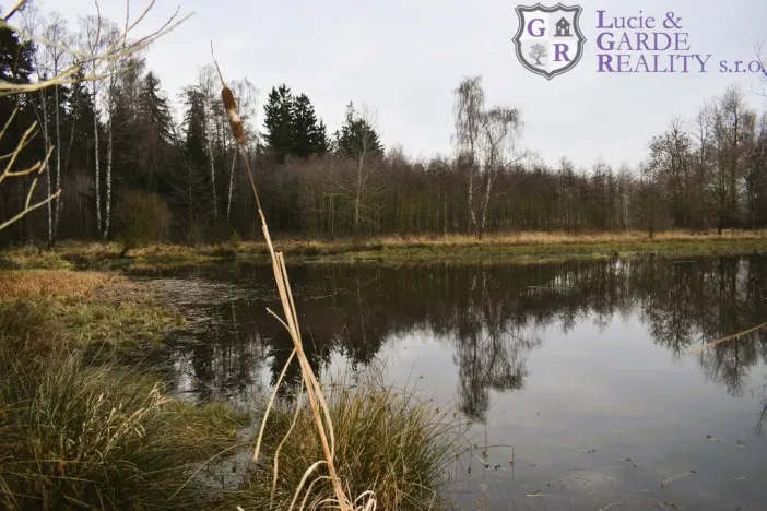 Prodej rybníku, Křivsoudov, 26509 m2