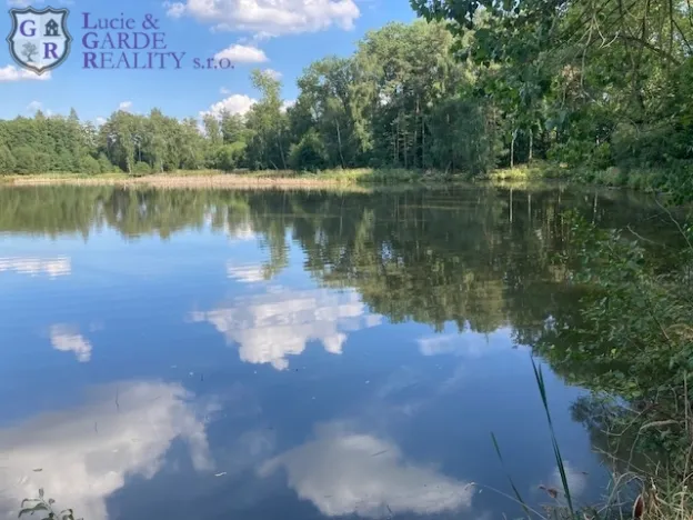 Prodej rybníku, Křivsoudov, 26509 m2