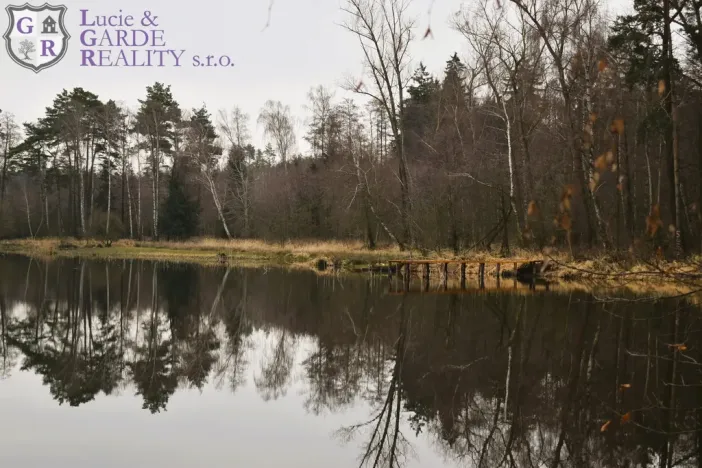 Prodej rybníku, Křivsoudov, 26509 m2