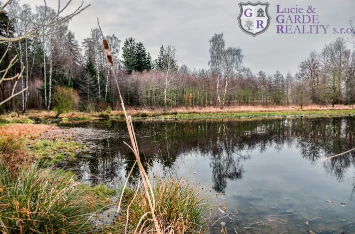 Prodej rybníku, Křivsoudov, 26509 m2