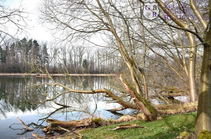 Prodej rybníku, Křivsoudov, 26509 m2