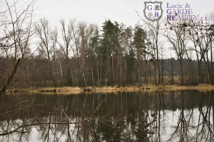 Prodej rybníku, Křivsoudov, 26509 m2