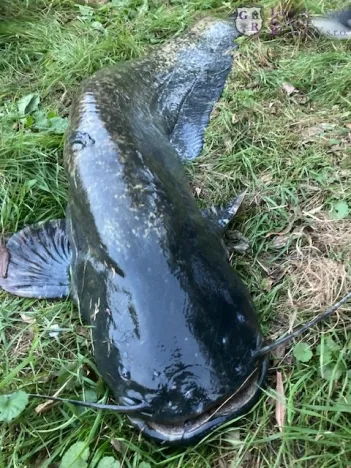 Prodej rybníku, Křivsoudov, 26509 m2