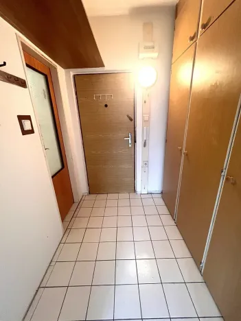 Prodej bytu 1+kk, Plzeň, Hodonínská, 33 m2