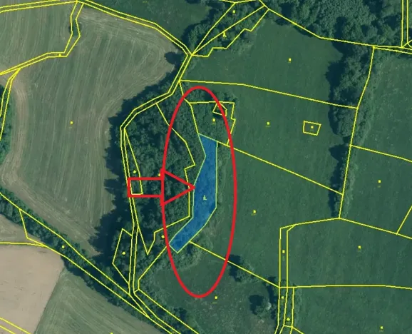 Prodej lesa, Kolinec, 1837 m2