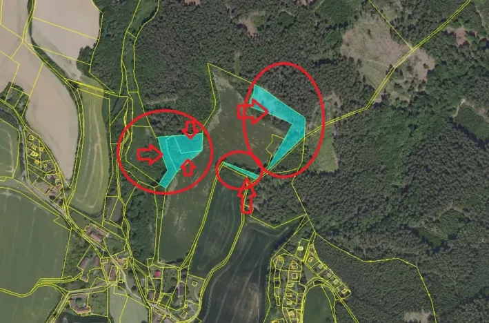 Prodej lesa, Petrovice II, 11117 m2