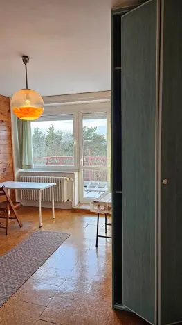 Pronájem pokoje, Praha - Dejvice, Starého, 15 m2