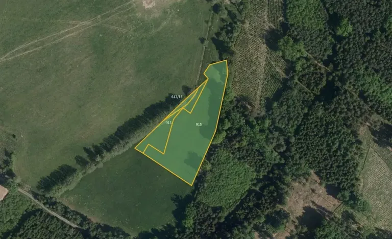 Prodej louky, Načešice, 5784 m2