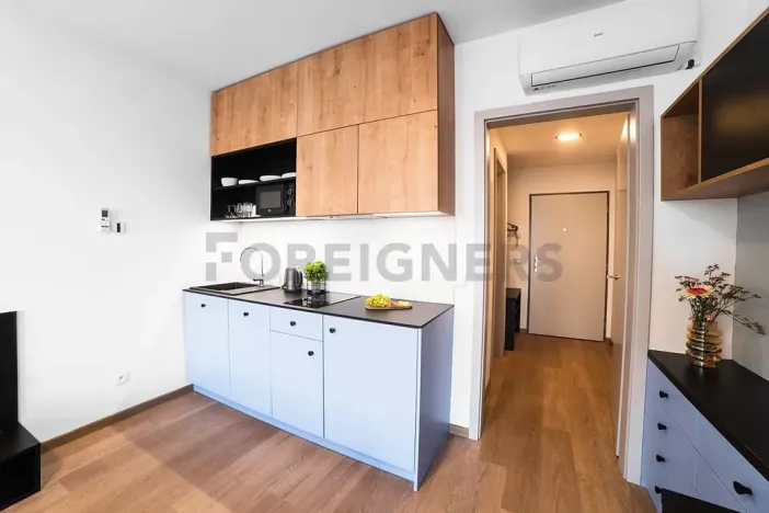 Pronájem bytu 1+kk, Olomouc, Edmunda Husserla, 27 m2