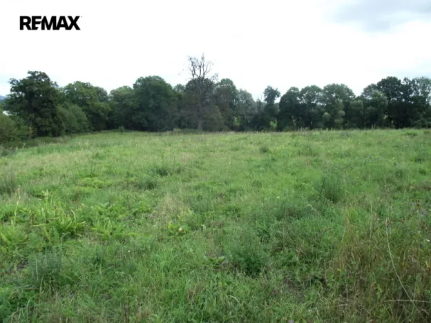 Prodej pozemku pro bydlení, Polom, 1399 m2