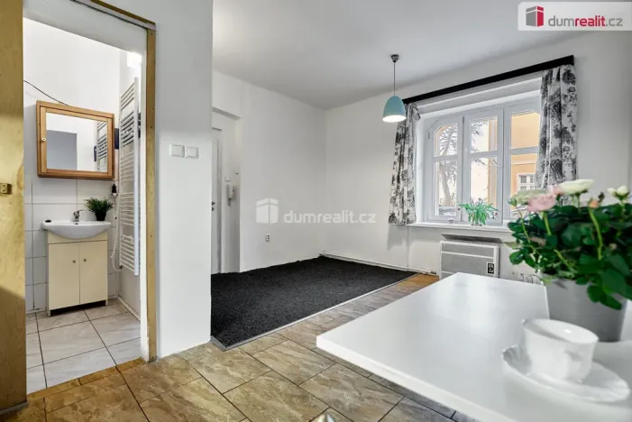 Pronájem bytu 1+kk, Ústí nad Labem - Ústí nad Labem-centrum, Emy Destinové, 21 m2