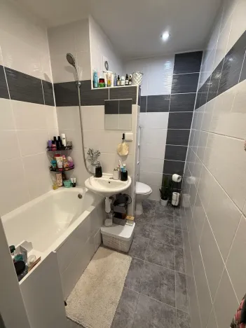 Pronájem bytu 1+1, Děčín - Děčín VI-Letná, 43 m2