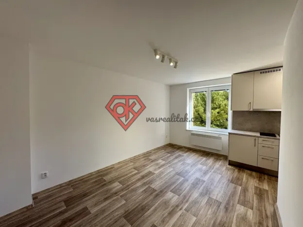 Pronájem bytu 1+kk, Ústí nad Orlicí, Špindlerova, 22 m2