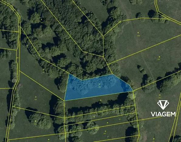 Prodej podílu louky, Javorník, 1860 m2