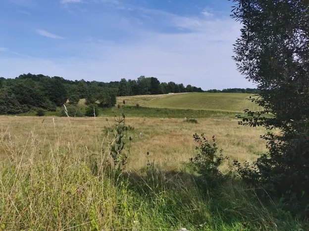 Prodej pozemku pro bydlení, Jablonné v Podještědí, 22371 m2