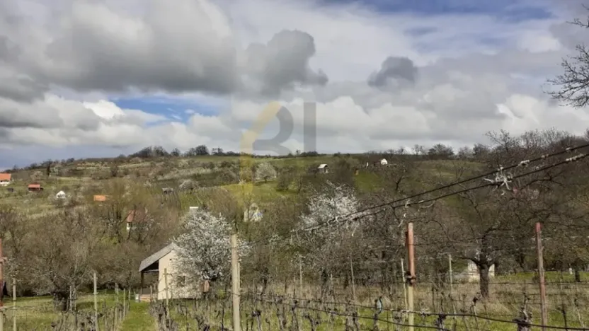Prodej sadu/vinice, Strážnice, Veselská, 2284 m2