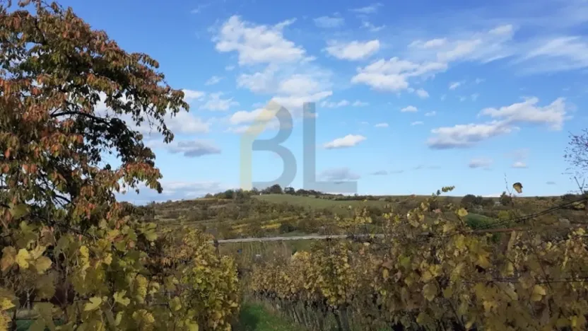 Prodej sadu/vinice, Strážnice, Veselská, 2284 m2