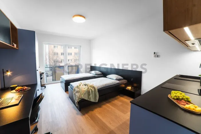 Pronájem bytu 1+kk, Olomouc, Edmunda Husserla, 29 m2