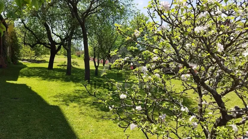 Prodej rodinného domu, Vyšší Brod, 550 m2