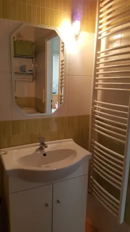 Pronájem bytu 1+kk, Brno, Běloruská, 30 m2