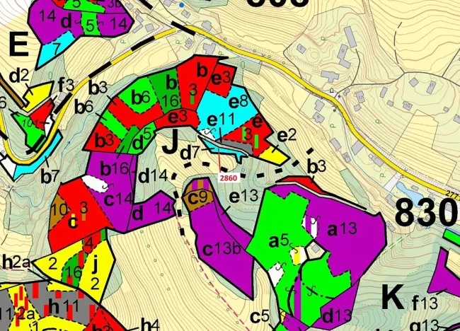 Dražba lesa, Český Dub, 662 m2