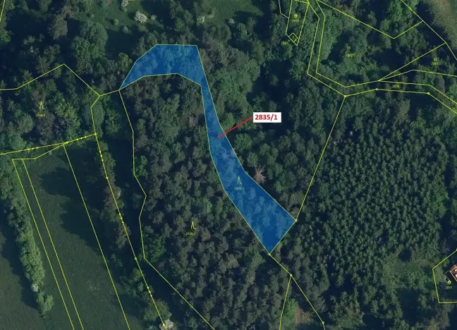 Dražba lesa, Český Dub, 2117 m2