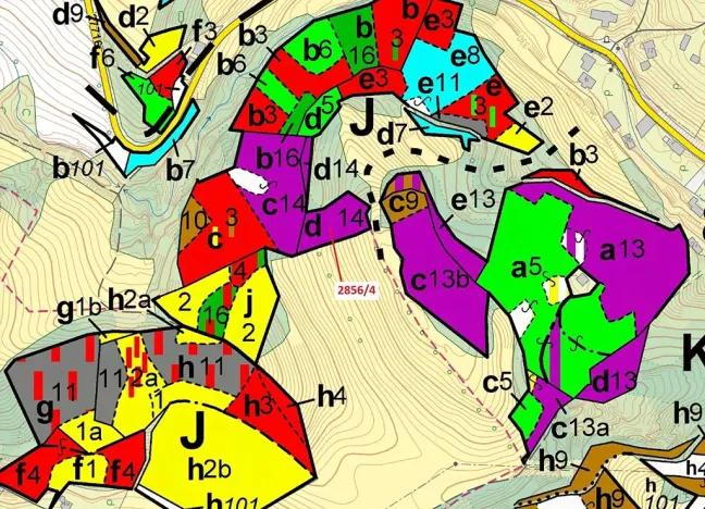 Dražba lesa, Český Dub, 2709 m2