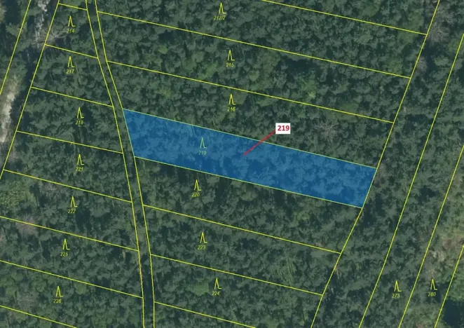 Dražba lesa, Vesce, 1673 m2