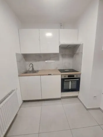 Prodej bytu 1+1, Praha - Nusle, 5. května, 40 m2