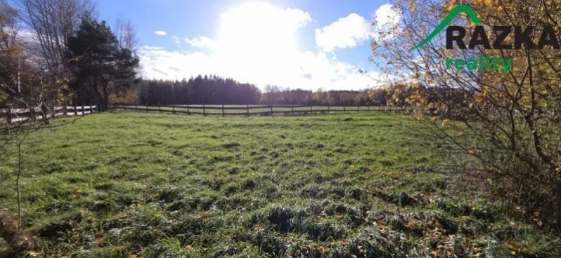 Prodej komerčního pozemku, Bor, 1427 m2