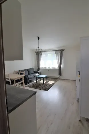 Pronájem bytu 2+kk, Brno, Čejkova, 49 m2