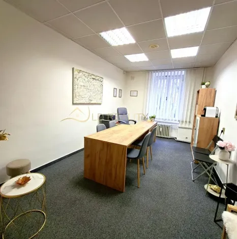 Pronájem kanceláře, Olomouc, nábř. Přemyslovců, 15 m2