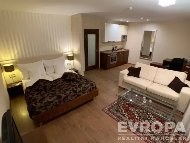 Pronájem bytu 1+kk, Plzeň - Jižní Předměstí, U Borského parku, 37 m2