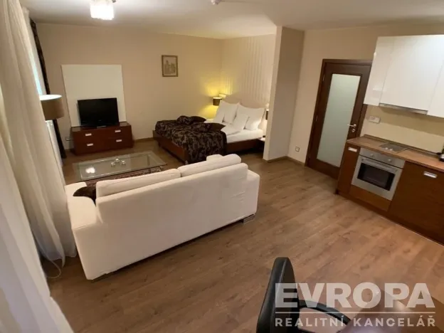 Pronájem bytu 1+kk, Plzeň - Jižní Předměstí, U Borského parku, 37 m2