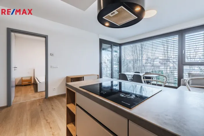 Pronájem bytu 2+kk, Praha - Libeň, U Vlachovky, 96 m2