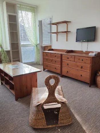 Pronájem bytu 1+kk, Hradec Králové, Na Kotli, 30 m2