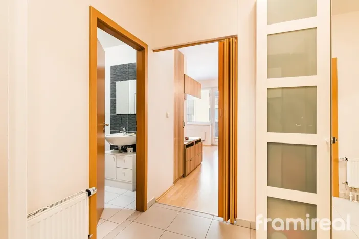 Pronájem bytu 1+kk, Brno, U Leskavy, 36 m2