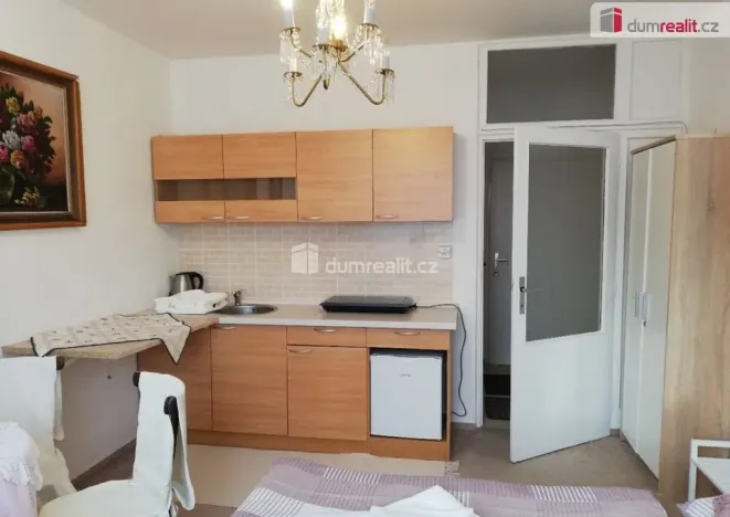 Pronájem bytu 1+kk, Mariánské Lázně - Úšovice, Kubelíkova, 24 m2