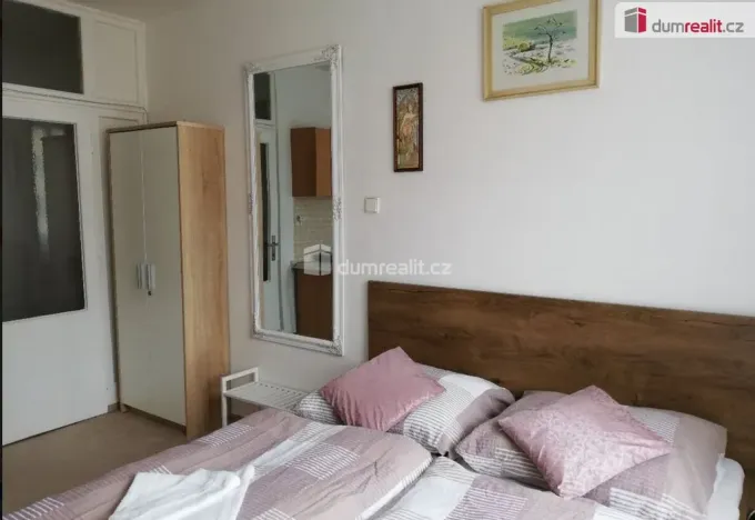 Pronájem bytu 1+kk, Mariánské Lázně - Úšovice, Kubelíkova, 24 m2
