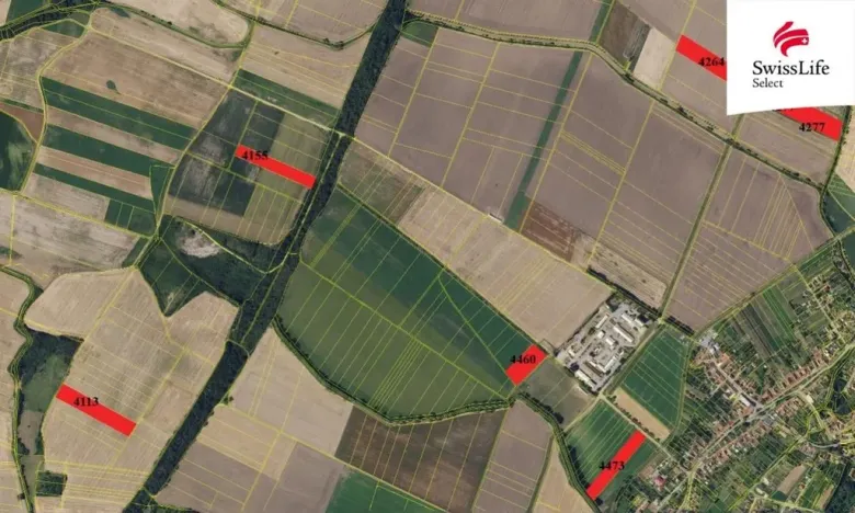 Prodej pole, Knínice, 75919 m2