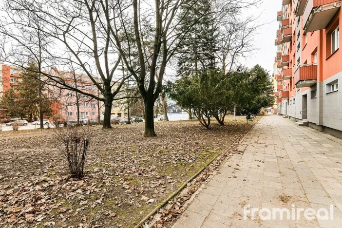 Pronájem bytu 2+1, Brno, Vídeňská, 54 m2