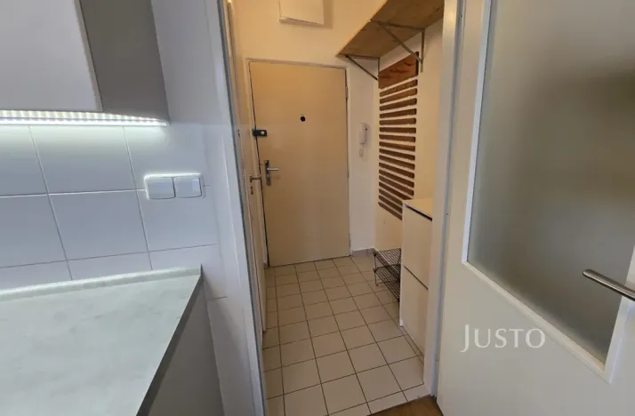 Pronájem bytu 1+1, Písek, 17. listopadu, 35 m2