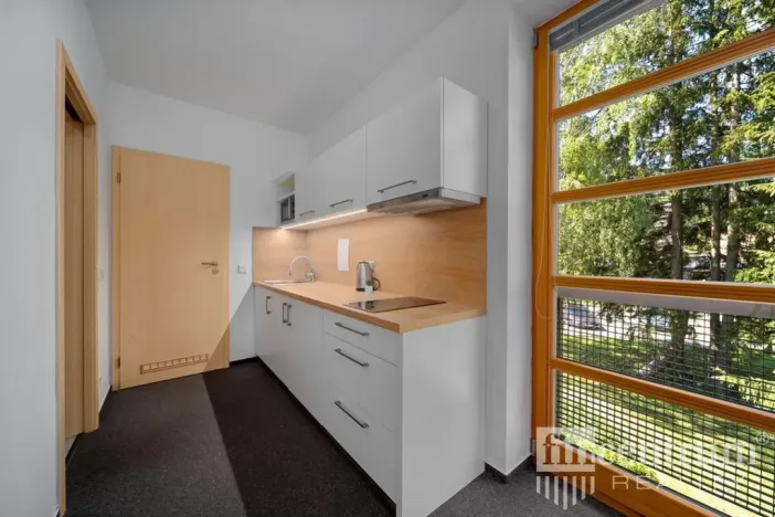 Prodej bytu 3+kk, Říčky v Orlických horách, 80 m2