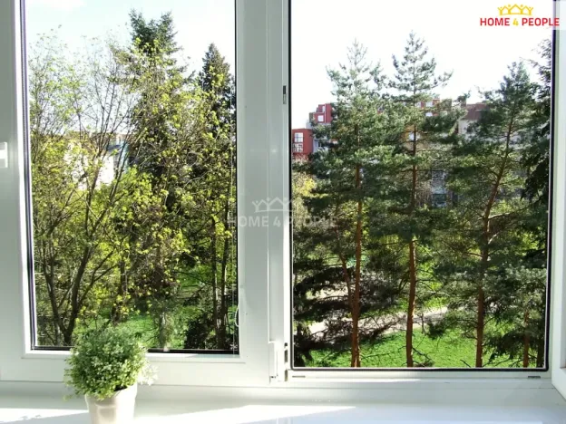 Pronájem bytu 3+kk, Brno - Staré Brno, Křídlovická, 71 m2