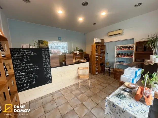 Pronájem obchodního prostoru, Napajedla, 65 m2